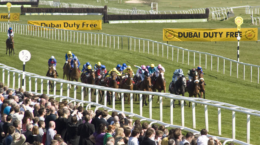 newbury races