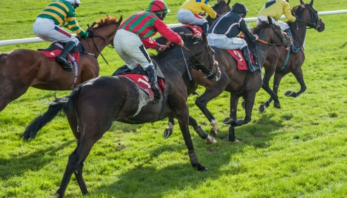 Experience the Thrill of the Summer Horse Racing Season