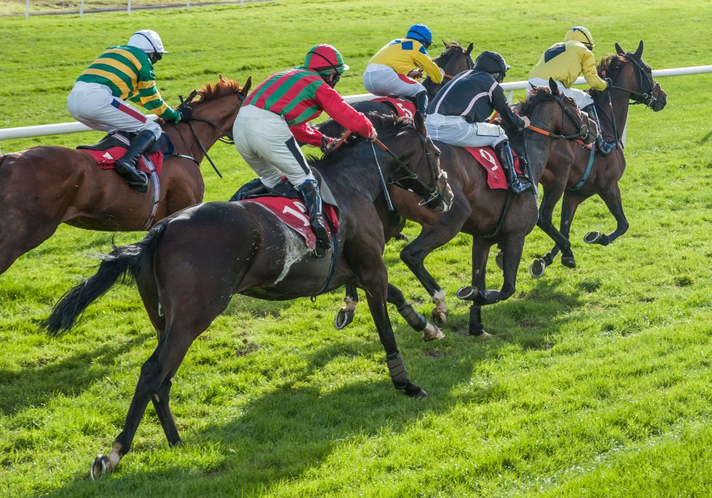 Experience the Thrill of the Summer Horse Racing Season